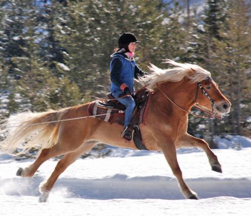 A cavallo sulla neve