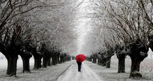 Freddo dai Balcani Liguria sotto zero fino a mercoledì