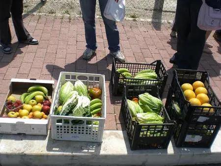 Inchiesta / L'Italia che fa la spesa 
senza andare mai al supermercato