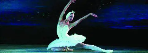 Un «Cigno» che non affascina