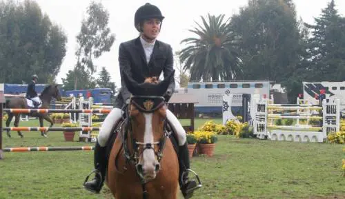 Samp, attenta al Chievo che gioca per Di Carlo