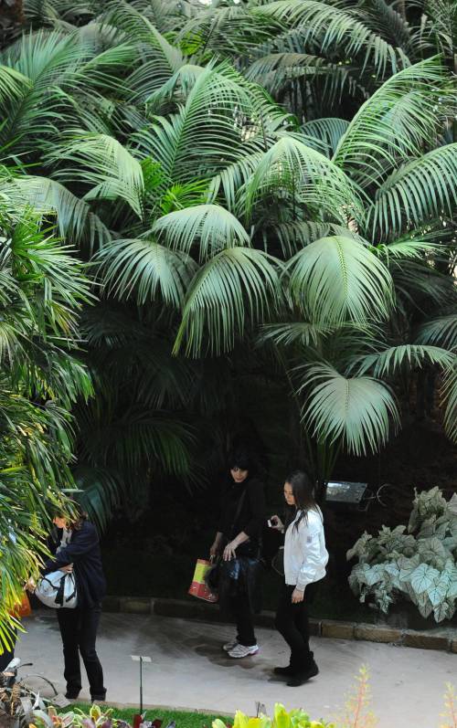 Metti un’Euroflora permanente con un circuito di «musei verdi»