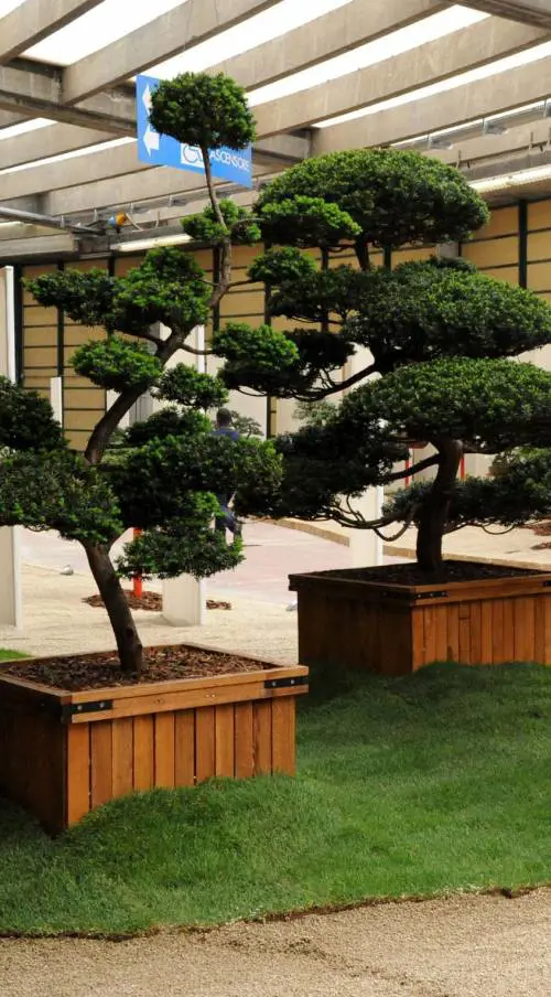 Euroflora: boom di visitatori e uneredità ai parchi