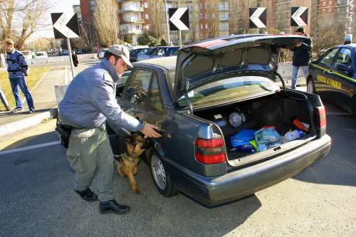 La Corte costituzionale prepara lo stop:  
niente carcere per il traffico di droga