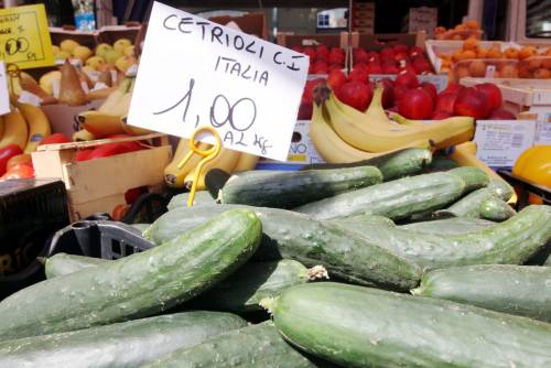 L’innocenza del cetriolo e i suoi nemici 