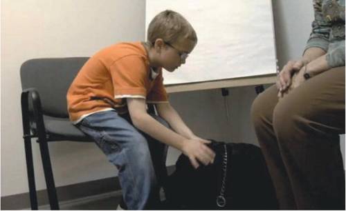 Negli Usa arrivano i cani con la toga: 
aiutano i bimbi a testimoniare in tribunale