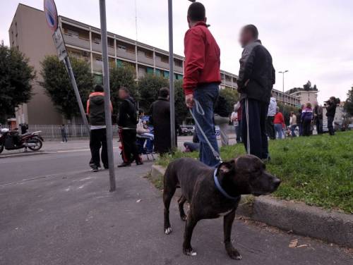 Milano, tassista ucciso per aver investito un cane 
il pm chiede 30 anni per uno degli aggressori
