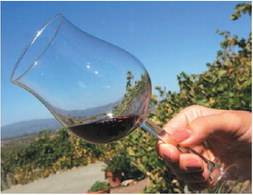 Mosca fa le barricate contro il vino italiano