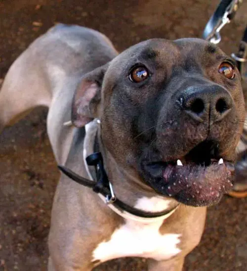 Trova laggressore su Internet, ma per il giudice non vale