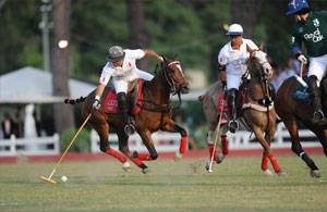 Audi Polo Team trionfa nella Roma Summer Polo Cup