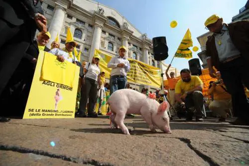 In piazza Affari manifestano anche i maiali 
Gli allevatori protestano contro le speculazioni