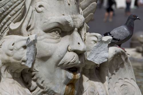 Roma, piazza Navona 
Ecco chi ha danneggiato 
la fontana del Moro