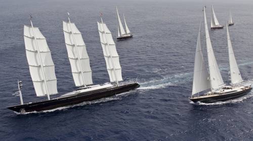 Trionfa Maltese Falcon
davanti a Parsifal III