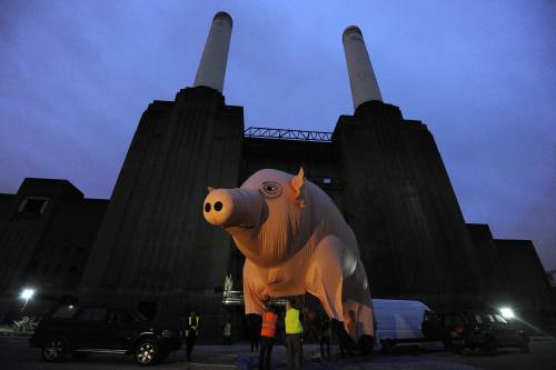 Arrivano i Pink Floyd in versione rimasterizzata 
e "Algie" torna a volare sopra i cieli di Londra