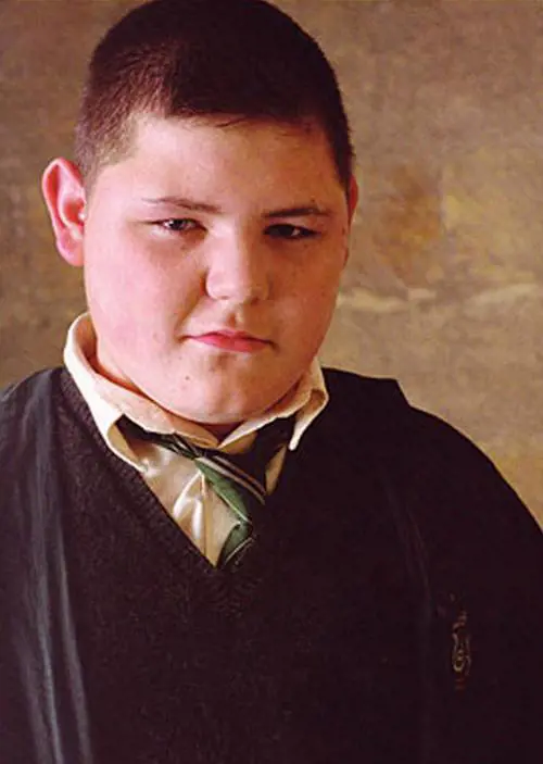 Da bullo in Harry Potter 
alle rivolte di Londra, 
il decliino di Waylett