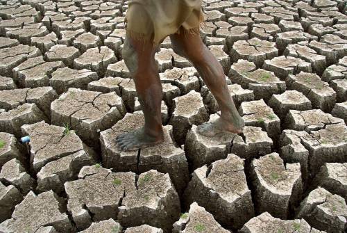 Ecco il sito internet che sgonfia le "eco-balle"