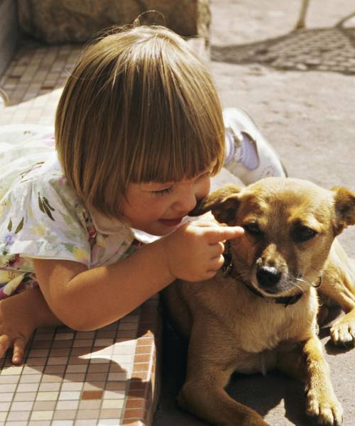 Senti chi parla: bimbi e cani si capiscono