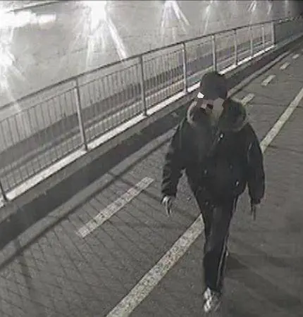 Accoltella una donna per rubarle la borsa Incastrato dai video