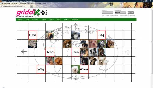 Quando Fido è social:
nasce oggi GriddixDog