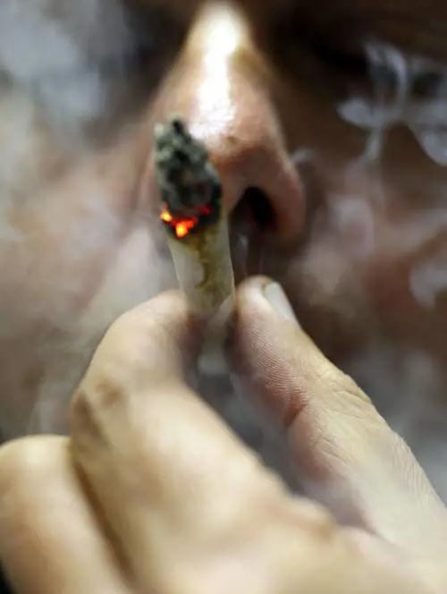 LOlanda pensiona il «mito» della canna: «La marijuana è come le droghe pesanti»