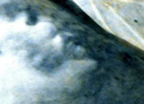 Assisi, tra San Francesco  e Giotto ci ha messo  lo zampino il Diavolo