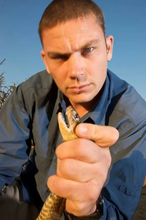 Eroici, impavidi e muscolosi:  ecco la Tv per i "veri" uomini