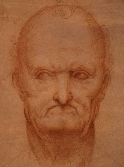 In mostra il DaVinci autoritratto  
 