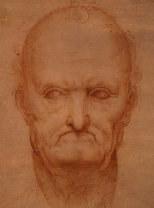 In mostra il DaVinci autoritratto  
 
