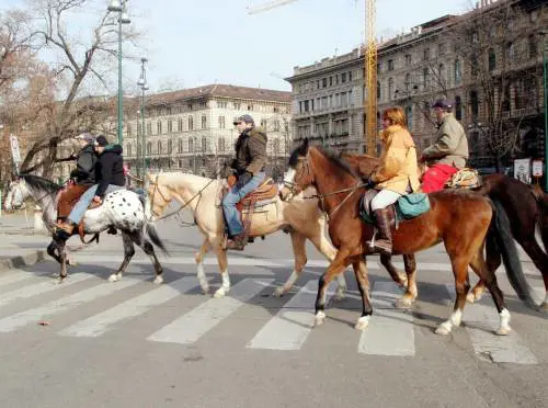 Ecco tutte le occasioni preparate per i bambini