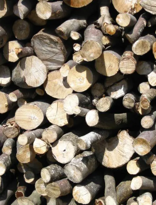 Stare bene in casa, tutta la protezione  di un materiale vivo