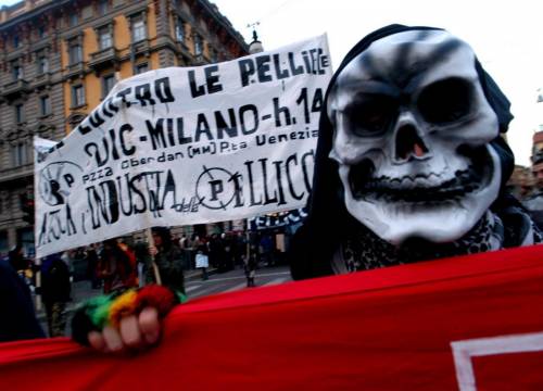 Taglio delle ali, animalisti contro Cattelan