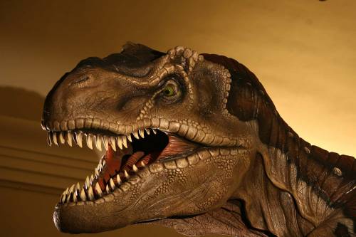 Il ruggito del Tirannosauro e le fauci del Gigantosauro: Torino invasa dai dinosauri