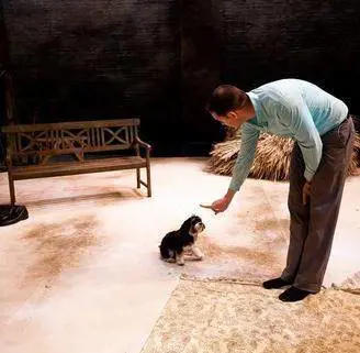 Attore cane? A Broadway  lo pagano doppio