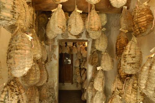 November Porc... e speriamo che ci sia la nebbia