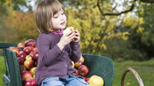 «Abbiamo creato un orto in classe»