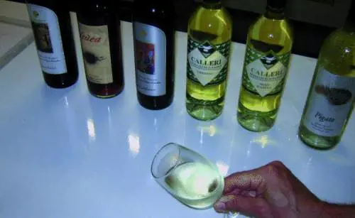 Cinque vini liguri entrano nellOlimpo dellenologia