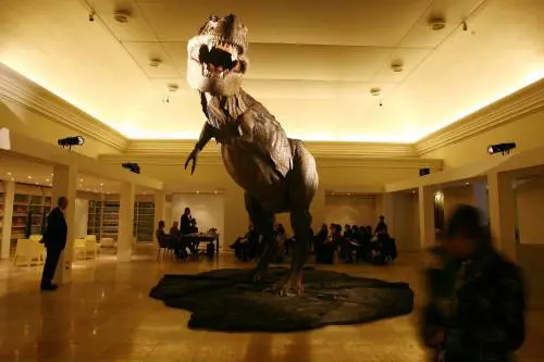 In coda per la preistoria  E' boom di visitatori  alla mostra dei dinosauri