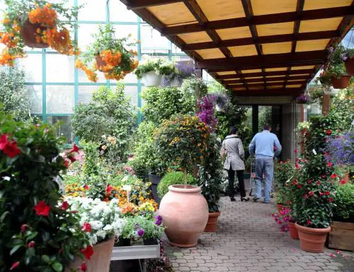 I milanesi «copiano» lidea di un albergo per le piante