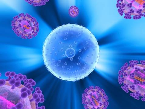 Ecco le cellule hackerate per sconfiggere il cancro
