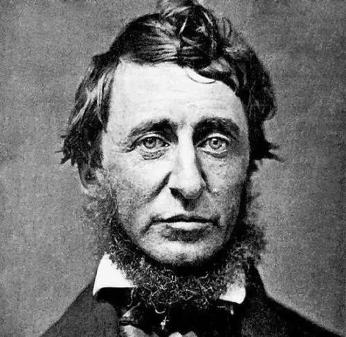 Quando a Cape Cod andava Thoreau (e non Obama)