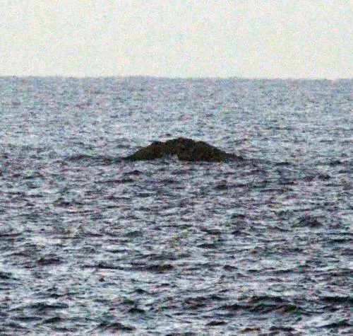 Ora si lavora  per scongiurare un disastro ambientale