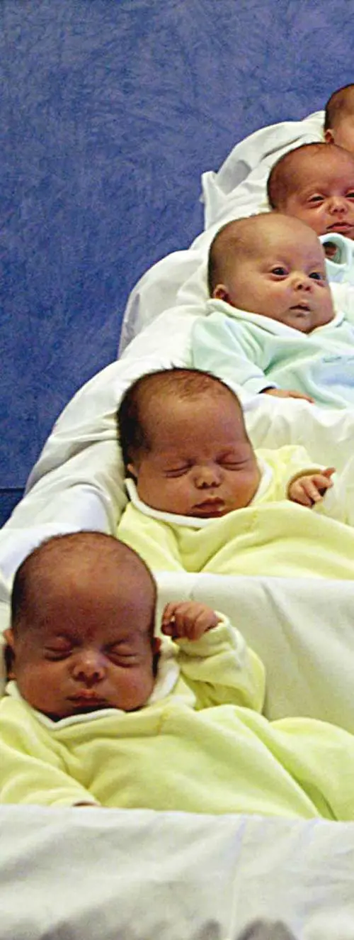 Gli italiani, popolo in via destinzione