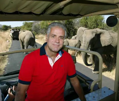 Lalleanza animali-politici: cani ai comizi o in analisi gatti con tendenze suicide