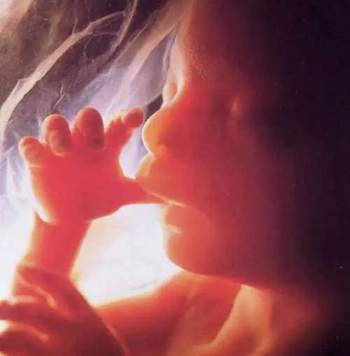 LInghilterra adesso è più vicina alla Cina Aborti illegali solo se la figlia è femmina