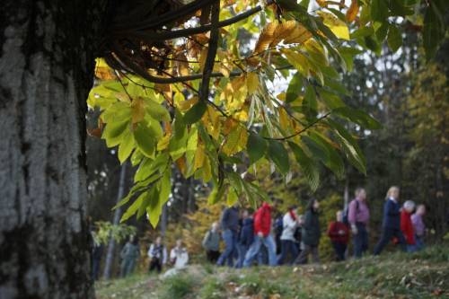 Wandercamp, escursioni per scoprire Lana e le sue montagne