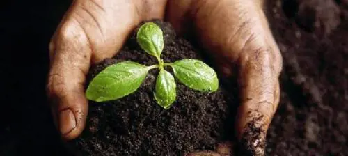 I bimbi insegnano a far l’orto con i rifiuti della tavola