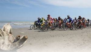 Cervia: seppie in tavola, biciclettate e itinerari verdi