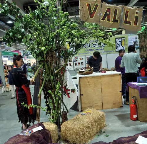 Scoppia la moda dellorto sotto casa