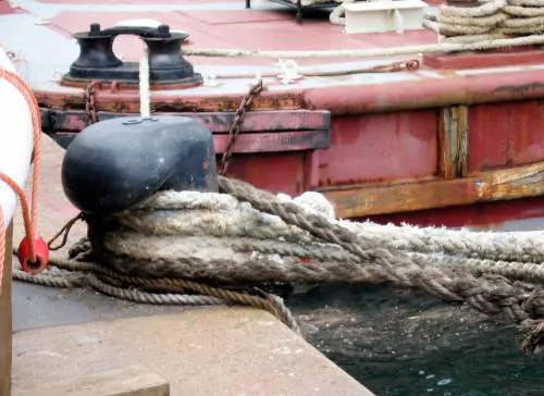 La partita della vita da vincere con i «sì»