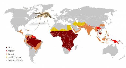 Combattere l’invasione delle zanzare  ma senza danneggiare l’ambiente